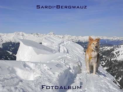 Sardi-Bergwauz Fotoalbum