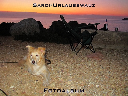 Sardi-Urlaubswauz Fotoalbum