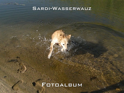 Sardi-Wasserwauz Fotoalbum