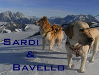 Sardi & Bavello